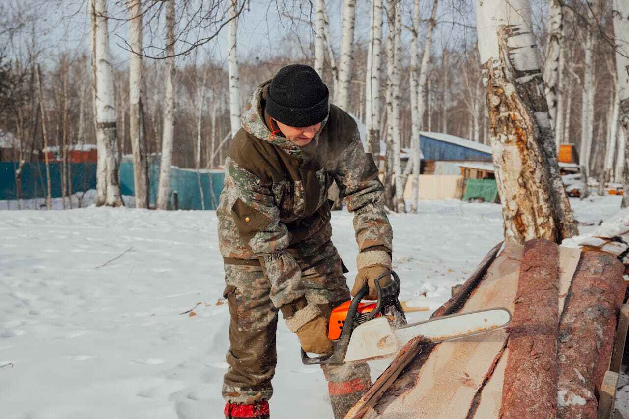 Best Tree Root Removal  in Anaconda, MT